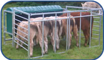 JFC Calf Creep Feeder