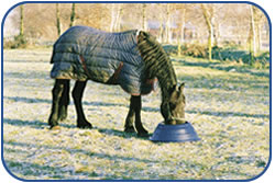 JFC Equine Equipment