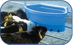 Feed Equipment