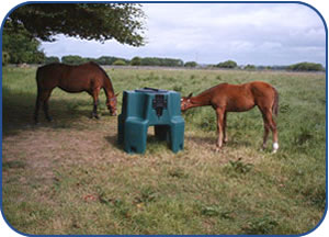 JFC Ringfort Feeder