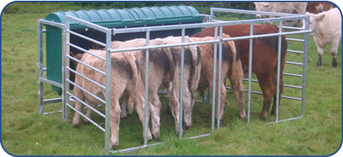 JFC Calf Creep Feeder