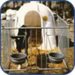 Calf Hutch Rearing System